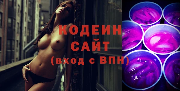 хмурый Бородино