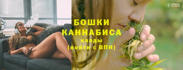 мдпв Верхний Тагил