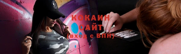 мдпв Верхний Тагил