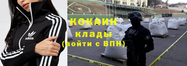 мдпв Верхний Тагил